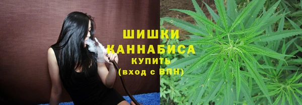 ПСИЛОЦИБИНОВЫЕ ГРИБЫ Алексин