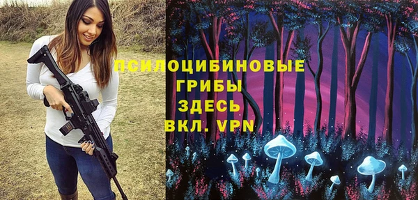 СК Абинск