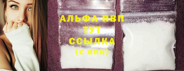 СК Абинск