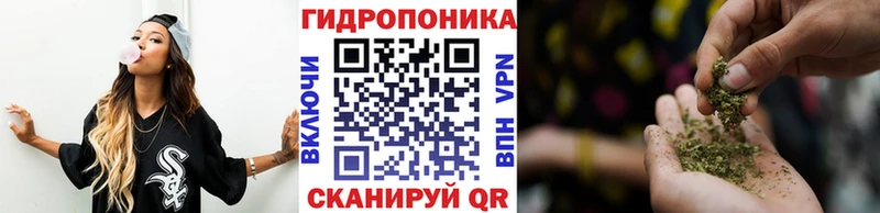 как найти   Берёзовка  Конопля сатива 